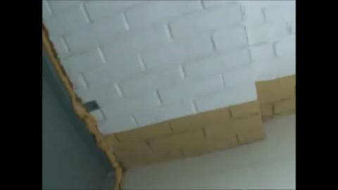 49507