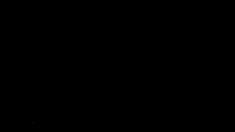 16209