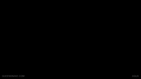 17511